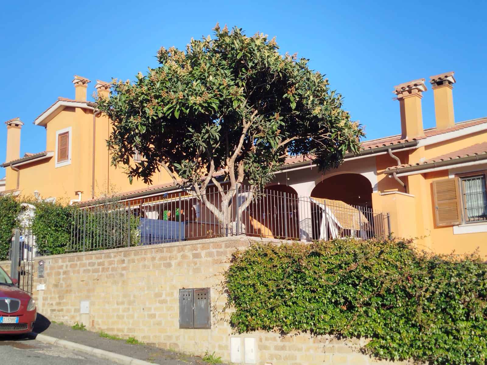 03D66C1B-58AB-44DD-B9C7-656D4902388B