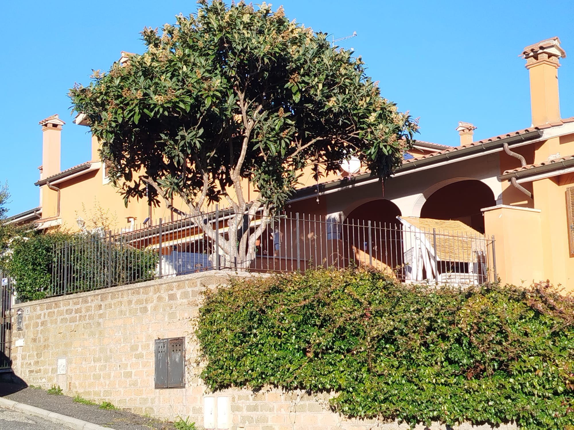 27C914E7-BC8B-4397-B765-E6E764D314B8