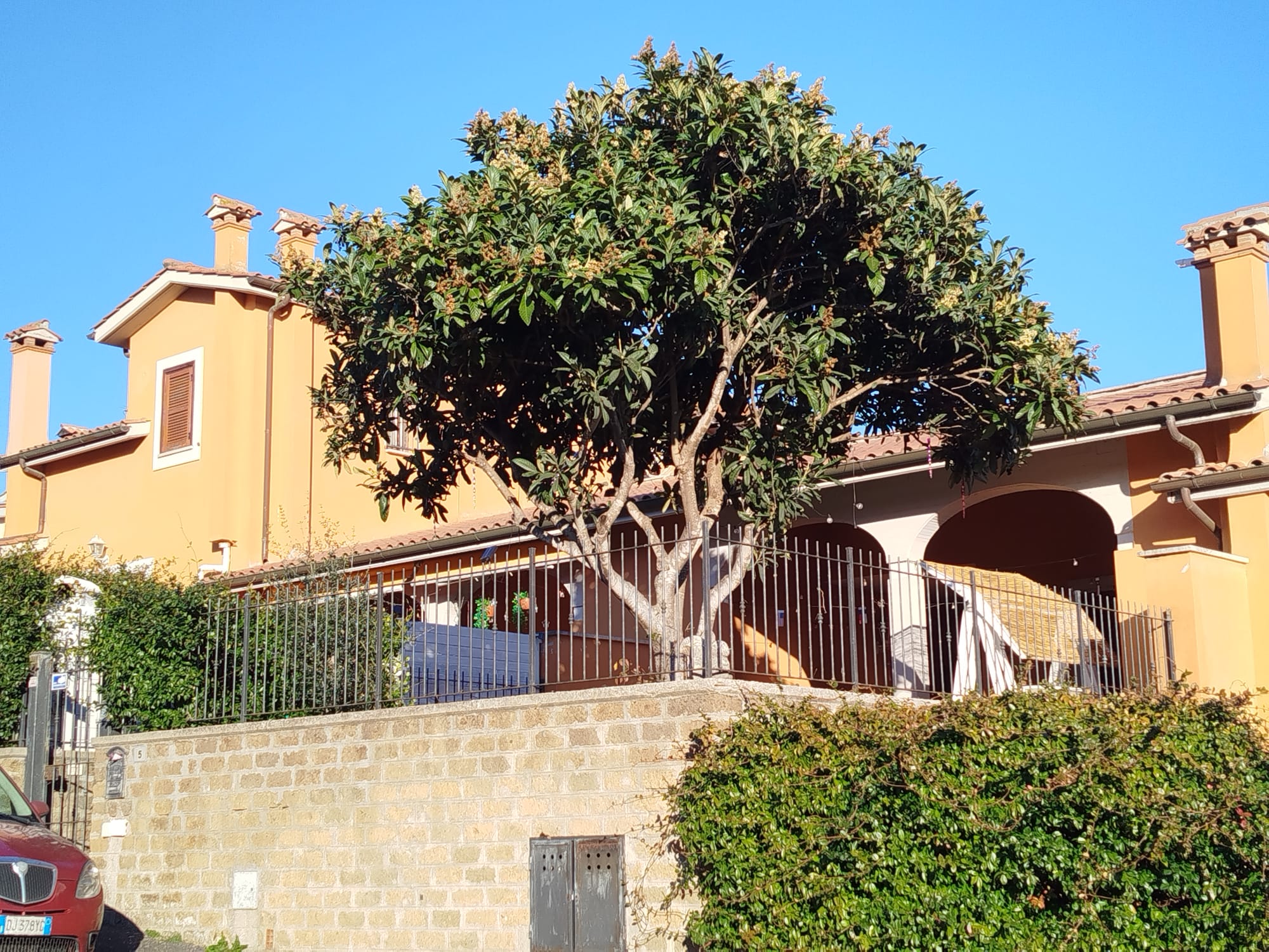 70D584E7-AE84-4C43-A1A5-C8A7425F73BC