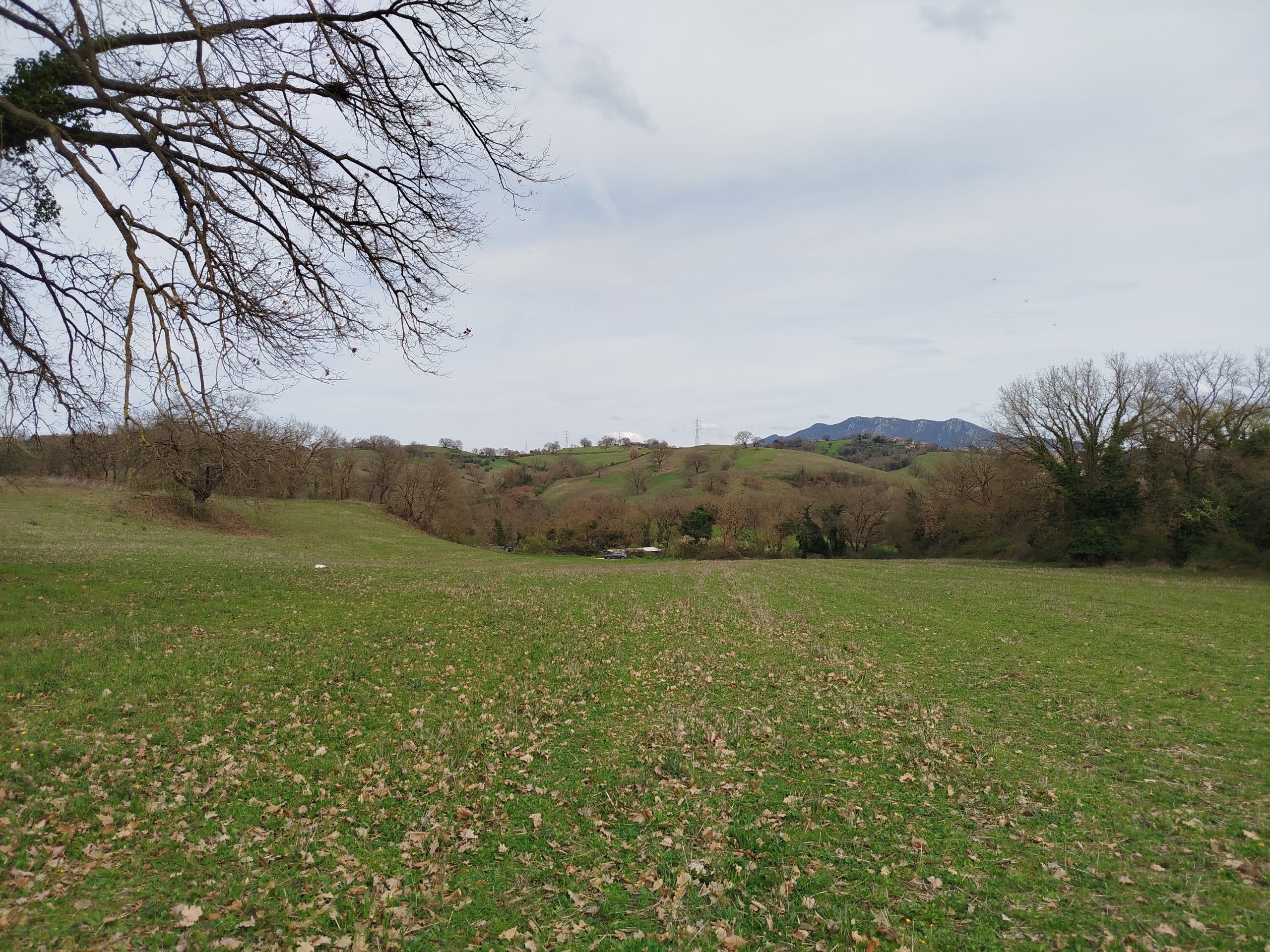 IMG_20260315_112238