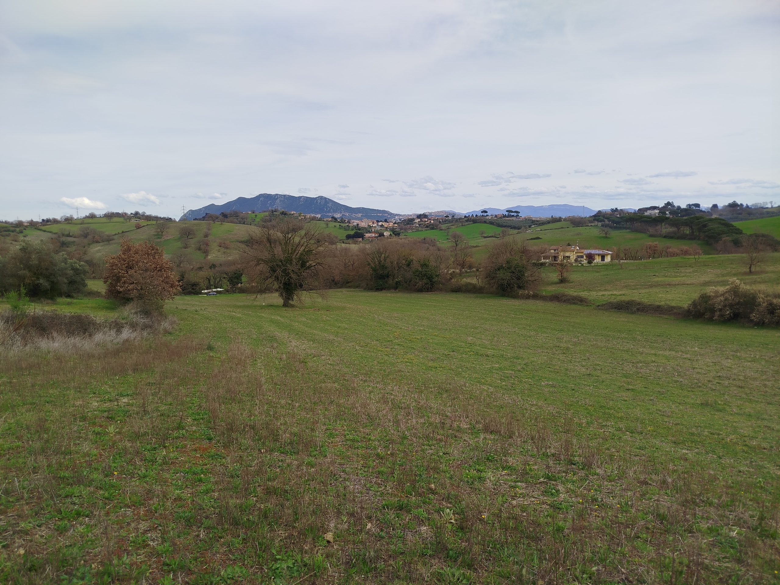 IMG_20260315_112642