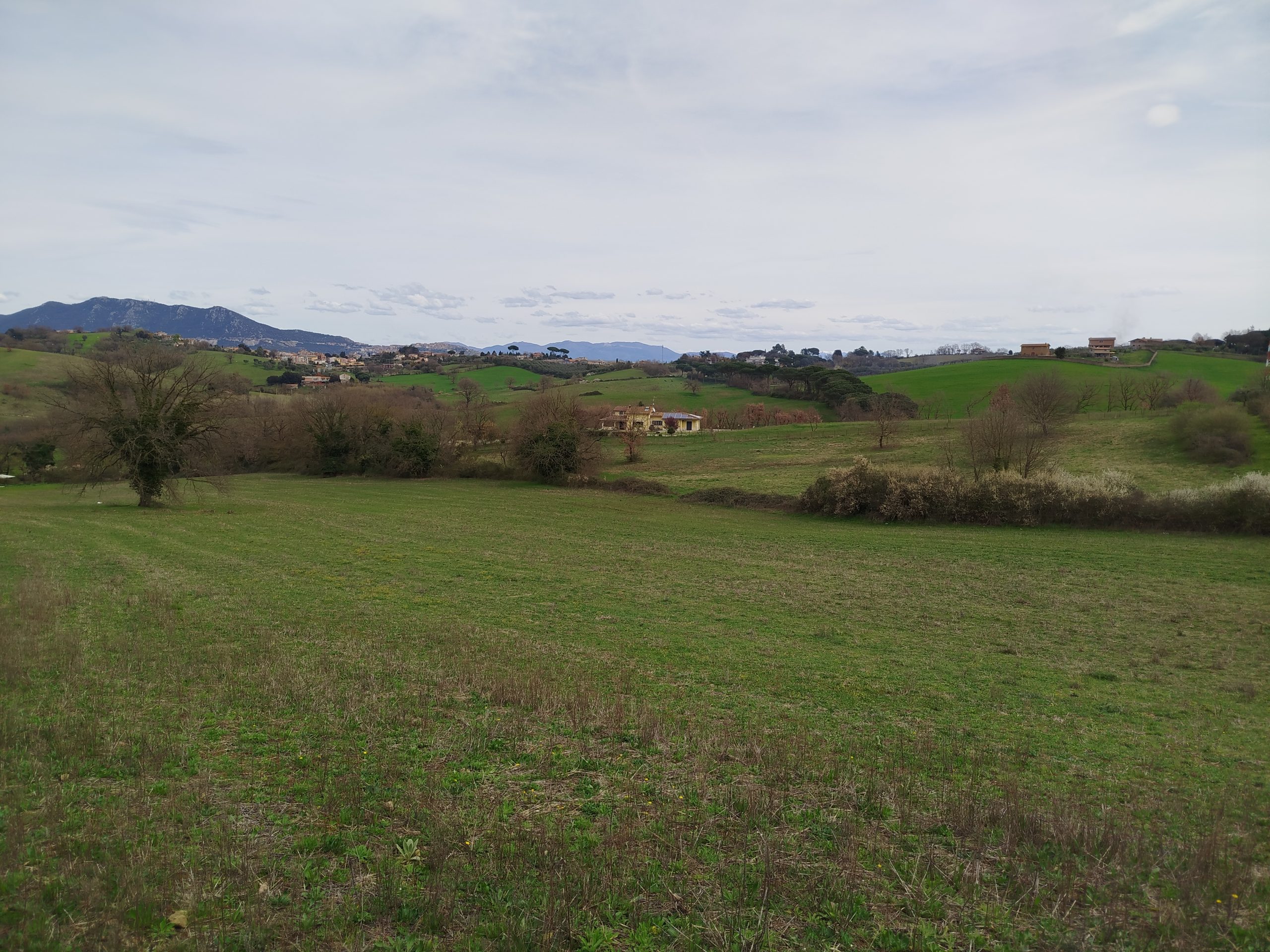 IMG_20260315_112651