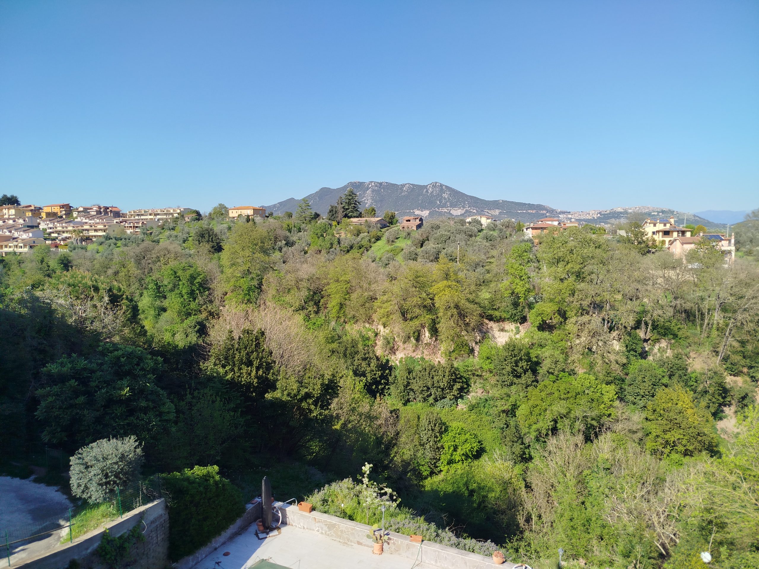 IMG_20260407_161941