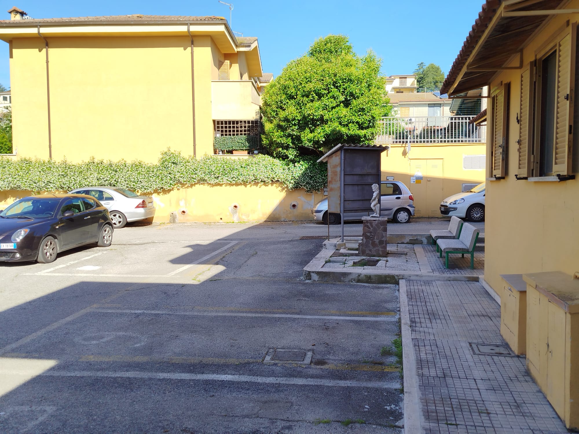 PHOTO-2026-05-20-11-18-30 3